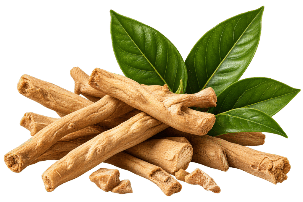 Raíces de ashwagandha con hojas verdes