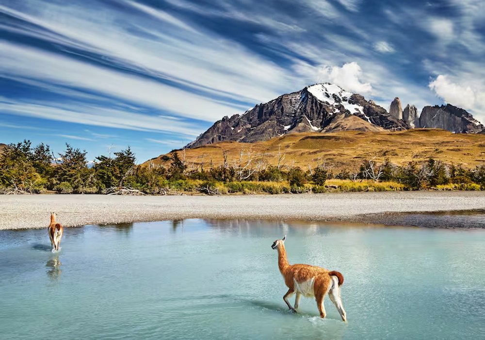 gigante-patagonia-2