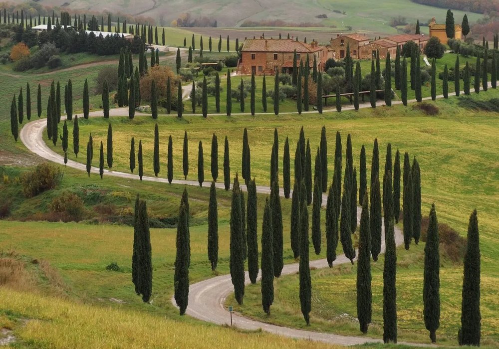 gigante-toscana-1